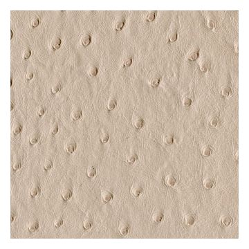 Élitis - Stromboli - Rendez vous milanais TV 239 05