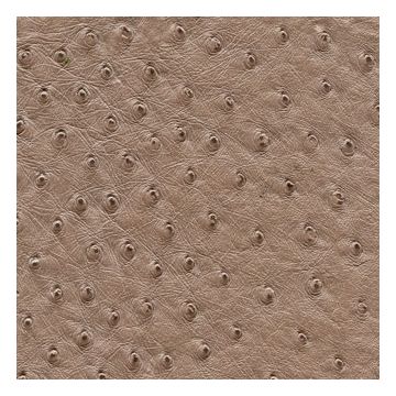 Élitis - Stromboli - Un coup de foudre ! TV 239 71