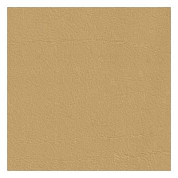 Élitis - Stromboli - Au galop ! TV 240 11