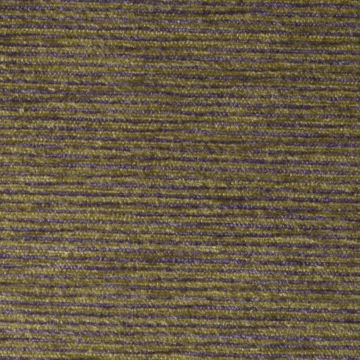 Verel de Belval - Tibet 42022-003