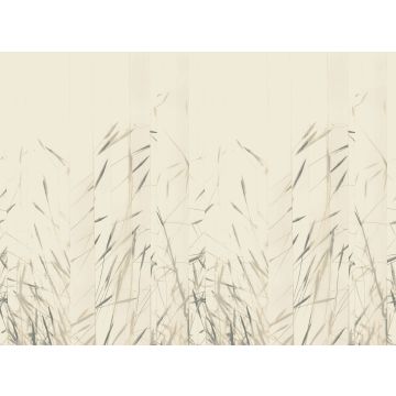 Villa Nova - Kishi - W608/01 - Carbon