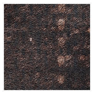 Élitis - Indomptée - VP 615 01 Balmoral