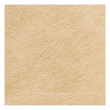 Élitis - Mémoires - Movida - VP 625 29 Oasis de lumière