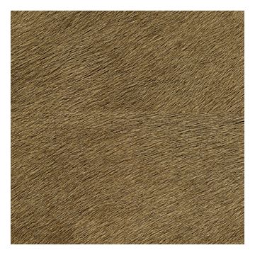 Élitis - Mémoires - Movida - VP 625 32 Conscient de sa valeur