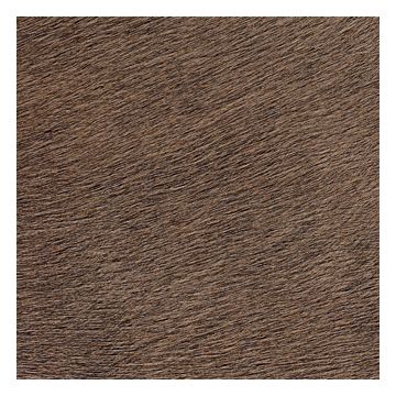 Élitis - Mémoires - Movida - VP 625 34 La nuit des temps