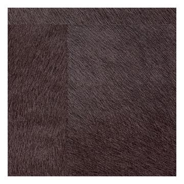 Élitis - Mémoires - Movida - VP 625 37 Le prix du raffinement