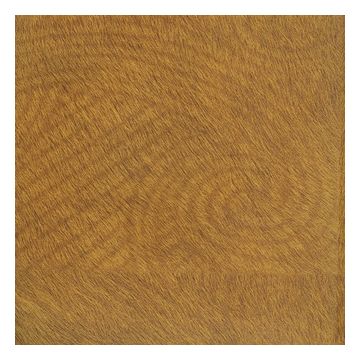 Élitis - Natives - Maori - VP 627 06 Courir la gazelle