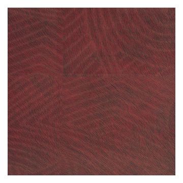 Élitis - Natives - Maori - VP 627 08 Un souffle de sensualité