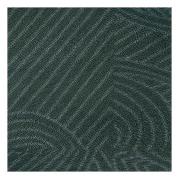 Élitis - Natives - Maori - VP 627 09 Le secret des origines