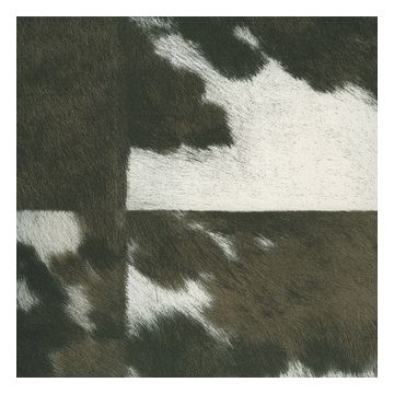 Élitis - Natives - Veracruz - VP 629 02 Désirs inavoués