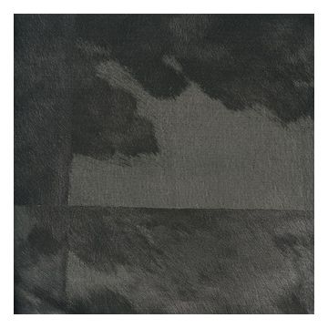 Élitis - Natives - Veracruz - VP 629 03 Méditation ancestrale