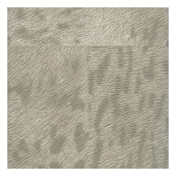 Élitis - Mémoires - Panthère - VP 653 01 Son plus beau trophé