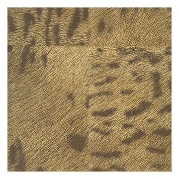 Élitis - Mémoires - Panthère - VP 653 03 Un noble félin