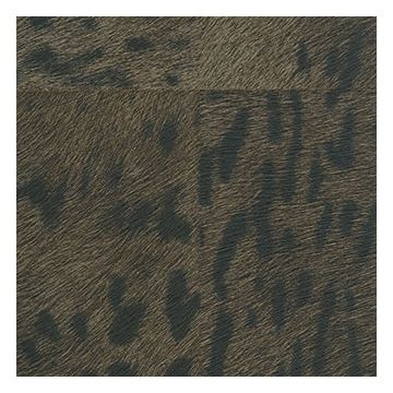 Élitis - Mémoires - Panthère - VP 653 04 Royale parure