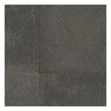 Élitis - Mémoires - Loup - VP 656 03 Une beauté primitive