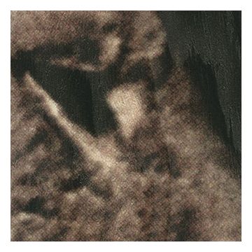 Élitis - Mémoires - King - VP 659 01 The king