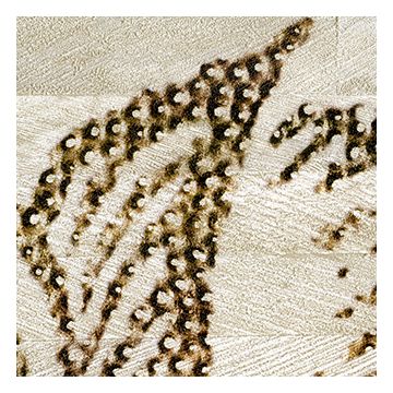 Élitis - Nomades - VP 901 01 Bahia blanca