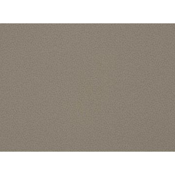 Romo - Eggshell - Nougat W335/04