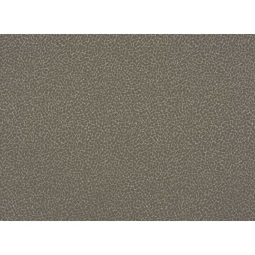 Romo - Eggshell - Cobblestone W335/06