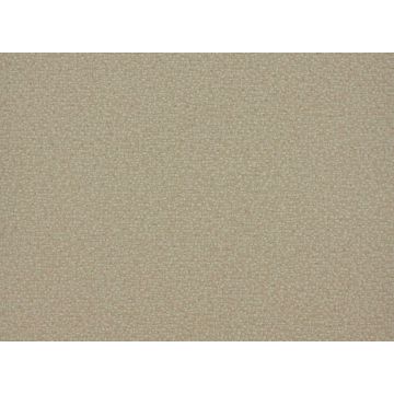 Romo - Boucle - Sugar Beet W338/02