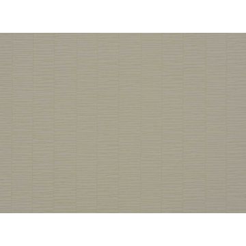 Romo - Filigree - Whitewash W340/01