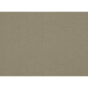 Romo - Filigree - Latte W340/04