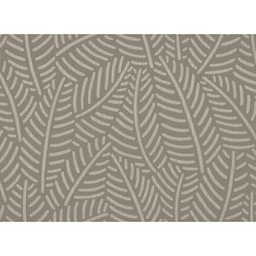 Romo - Fern - Chamois W342/03