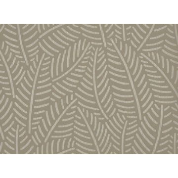 Romo - Fern - String W342/04