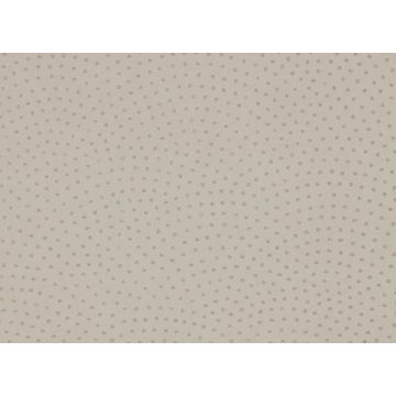 Romo - Rivo - Shale W347/02