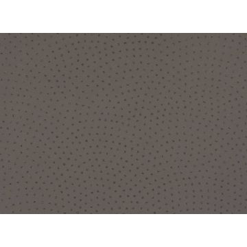 Romo - Rivo - Ash W347/06