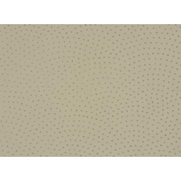 Romo - Rivo - Tusk W347/07