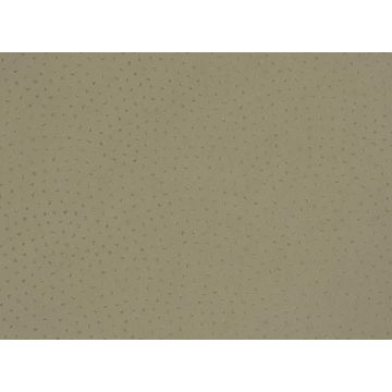 Romo - Rivo - Maple W347/08