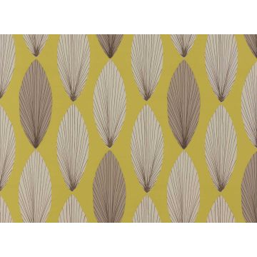 Romo - Laurus - Acacia W359/02