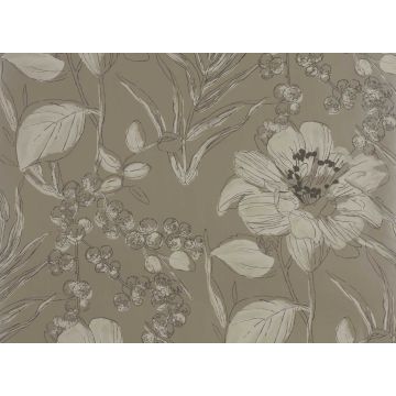 Romo - Livia - Titanium W361/02