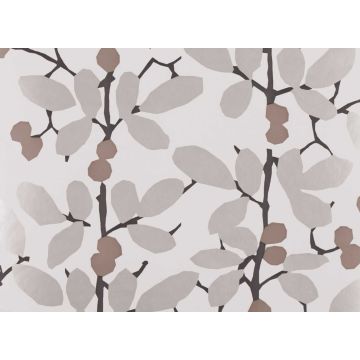 Romo - Ilsa - Praline W376/06