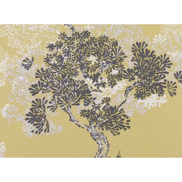 Romo - Orvieto - Quince W377/04