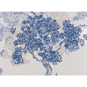 Romo - Orvieto - Topaz W377/05