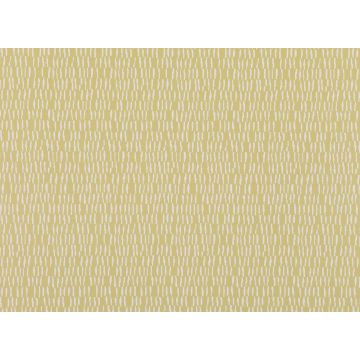 Romo - Giotto - Quince W379/05