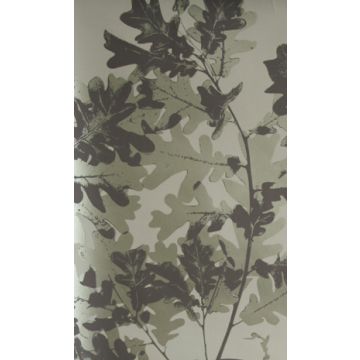 Osborne & Little - O&L Wallpaper Album 6 - Sherwood W5875-04