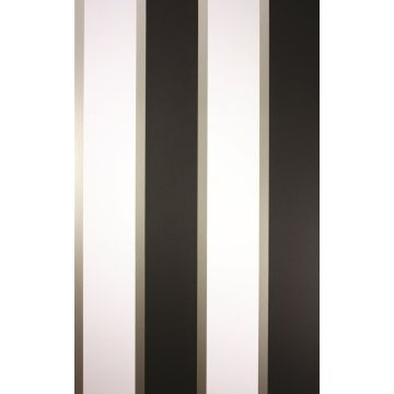 Osborne & Little - Strand - Fitzroy W6295-04