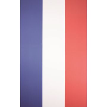 Osborne & Little - Strand - Carnaby W6296-01