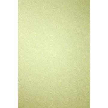 Osborne & Little - Persian Garden - Oriole W6491-05