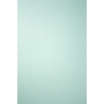 Osborne & Little - Persian Garden - Oriole W6491-06