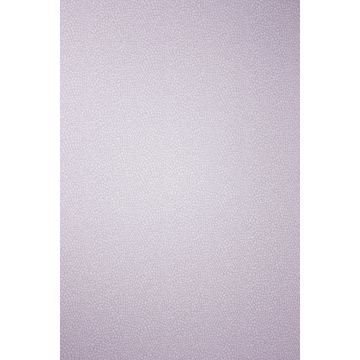 Osborne & Little - Persian Garden - Oriole W6491-07