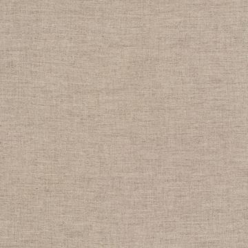 Wind - Astoria Natur