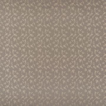 Wind - Avignon - 7 Natur