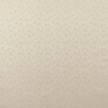 Wind - Avignon - 9 Weiß