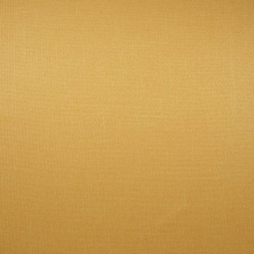 Wind - Bamboo - 2 Gelb