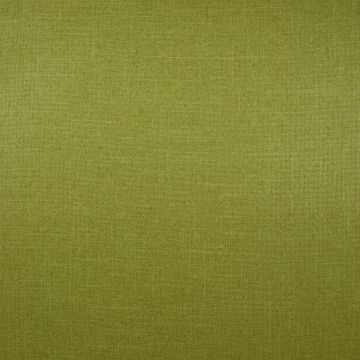 Wind - Bamboo - 3B Grün