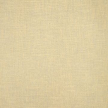 Wind - Baya - 2 Gelb